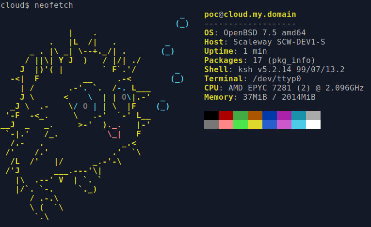 Screenshot of a neofetch command